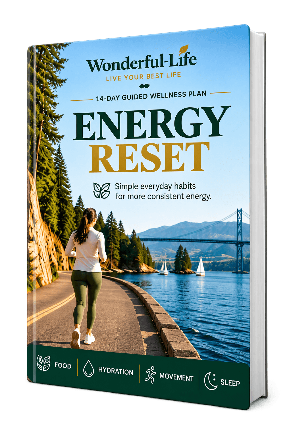 Wonderful-Life 14-Day Energy Reset guide
